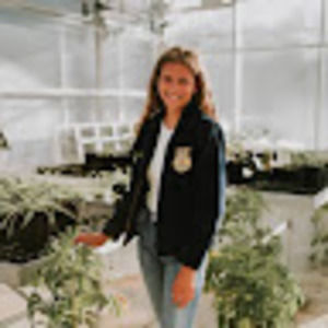 Meet your Posher, Alexa